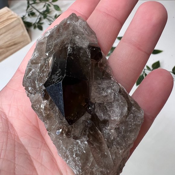 Smoky Quartz Crystal Points Cluster - Smoky Quartz Point Crystal Cluster - Picture 5 of 11